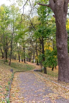 A winding path covered with fallen leaves leads through a peaceful park, showcasing trees in various shades of green and yellow against a cloudy autumn sky.