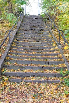 Stone steps are surrounded by colorful autumn leaves, leading into a calm park area. The natural scenery reflects the beauty of fall with vibrant foliage along the path.