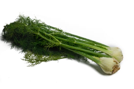Crisp green onions with lush tops lie on a counter, inviting creativity and flavor into your favorite recipes.