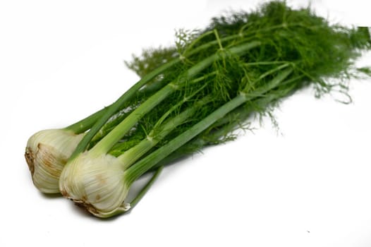 Crisp green onions with long, lush tops lie gracefully, highlighting their freshness and culinary potential.