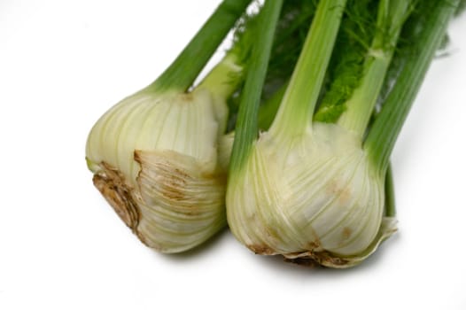 Plump garlic bulbs with green shoots sit thoughtfully arranged, showcasing fresh ingredients for flavorful dishes.