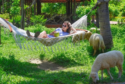 Young woman resting in hammock, drinking coconut juice near sheeps eating grass