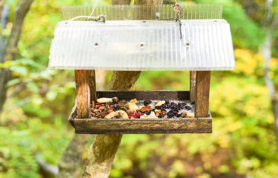 wooden birdhouse with food for birds