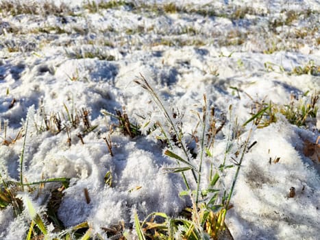 A blanket of frost coats the grass in a wintery field under bright sunlight, creating a serene winter atmosphere.
