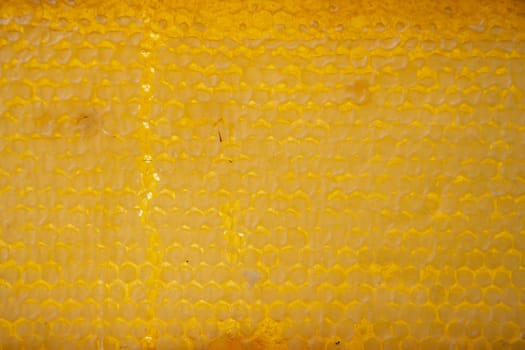 texture of amber honeycombs with organic honey of bright yellow amber color, hexagonal cells in honeycombs, beekeeping product for a healthy diet, alternative medicine, High quality photo