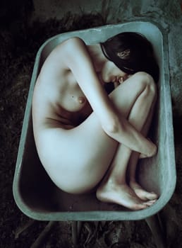 Young nude woman posing lying in a construction wheelbarrow at a country house construction site