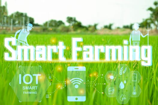 The concept of farming is a new way of using technology to help in the work called Smart Farming.