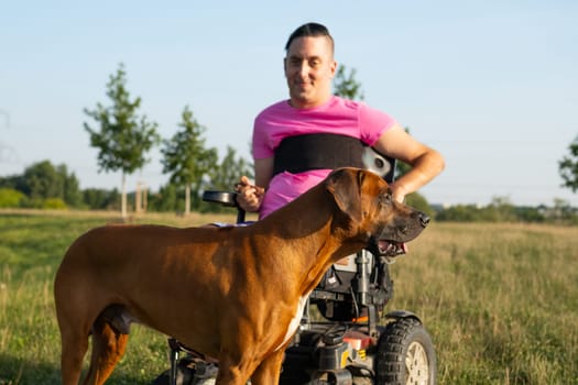 Handsome disabled man sitting in a wheelchair with the service dog at the park.