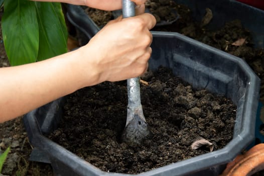 Farmers shovel the soil and prepare the soil for planting.