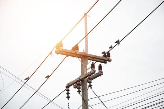 Electric poles and high voltage cables