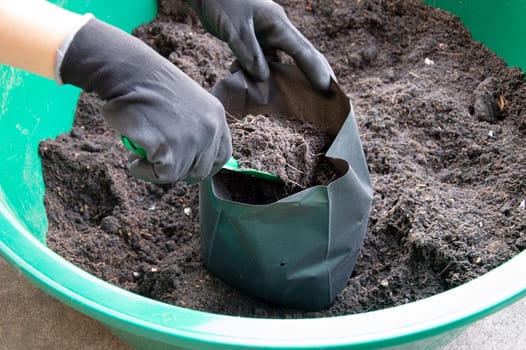 Farmers are packing potting soil into seeding bags.