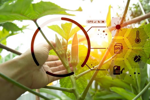 The concept of using AI and smart farming.	