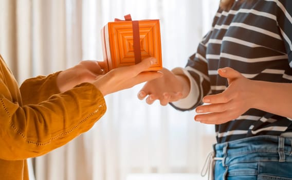 Young girl gives a nice wrapped gift to her friend, a woman makes a pleasant surprise for an anniversary, present for birthday or new year, christmas. People celebrate and congratulate each other.