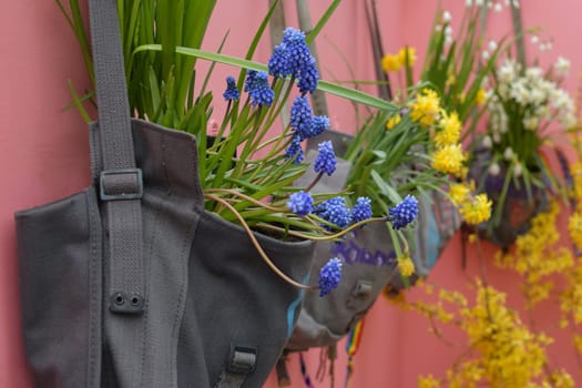 Muscari hang on the wall in a vintage bag