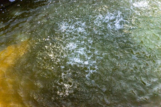 Water droplets create dynamic splashes in a calm pond, reflecting sunlight on a warm summer day. The surrounding area is peaceful, promoting a sense of tranquility.