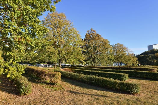 Moscow, Russia - Sept 20. 2024. Victory Park with the trimmed bushes in early autumn in Zelenograd in Russia