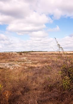 fantastic autumn in a mountain canyon, huge rocks and trees and meadows. stone valley covered with grass and stones. sky horizon with clouds. Aktovsky canyon, Ukraine.