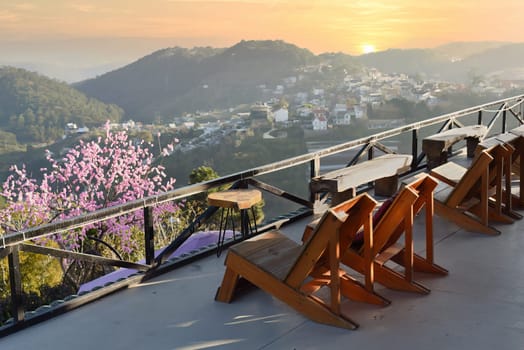 Wooden chairs without people against sunset and sakura tree in mountains of Da Lat in Vietnam