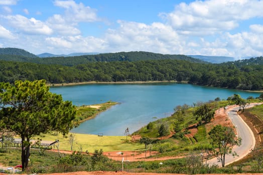 Lavender field with fresh bushes against lake and mountains in Da Lat Vietnam