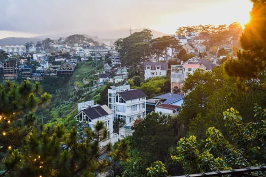 city of Da Lat in Lam Dong province, pine trees under sunset