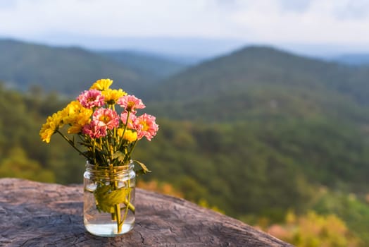 Bouquet of chrysanthemums in a vase under sunset against the backdrop of the mountains Da Lat Vietnam