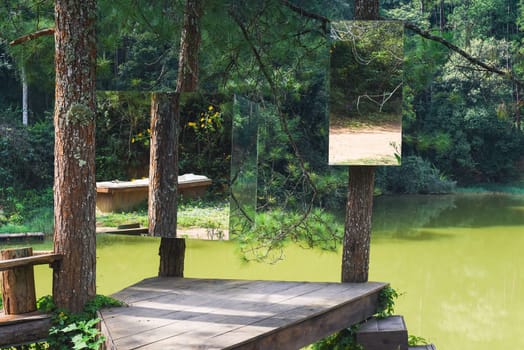 Creative idea with cube mirrors on trees in pine forest against lake in Da Lat Vietnam