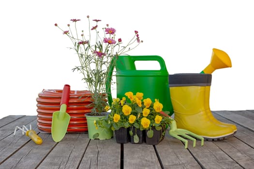 Gardening tools, watering can, irrigation hose, flower seedlings on wooden boards isolated on white background. Copy space