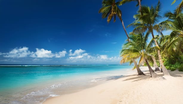 tropical beach scene natural panorama, AI generated image