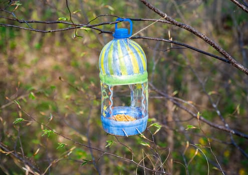 Seeds in bird feeder hunging on a tree in forest