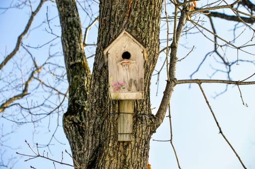 Wooden birdhouse with flowers. It hanging on the tree on sky background. Front view