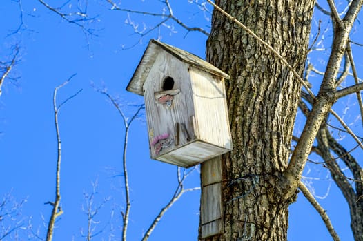 Wooden birdhouse with flowers. It hanging on the tree on sky background. Side view