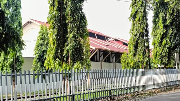 Greenery enhances this tranquil area with tall trees by a fence near a house, providing a peaceful suburban aesthetic surrounded by nature.