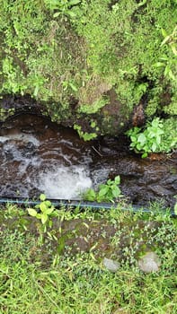 Flowing water through a channel surrounded by moss-covered rocks and vibrant green vegetation, creating a tranquil and natural scene.