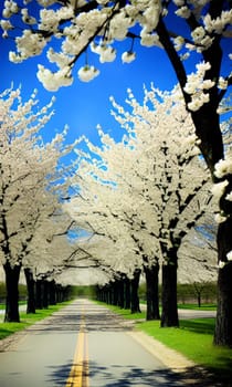 spring, white flowering trees nature park forest plants flora alt generate ai. High quality illustration