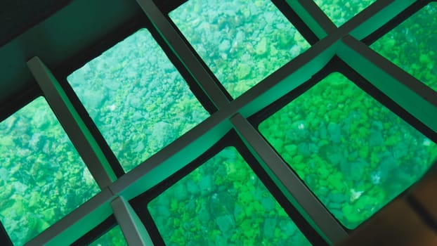 Glass boat floor revealing emerald waters, submerged rocky landscape visible through transparent panels