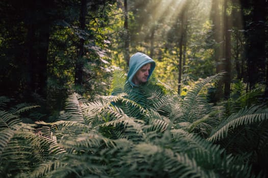 A mysterious figure in a green hoodie blends into a sunlit forest, surrounded by tall, vibrant ferns and dense foliage.