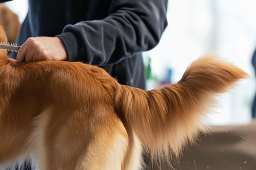 A groomer trims the fur of a golden retriever at a pet salon in bright light.