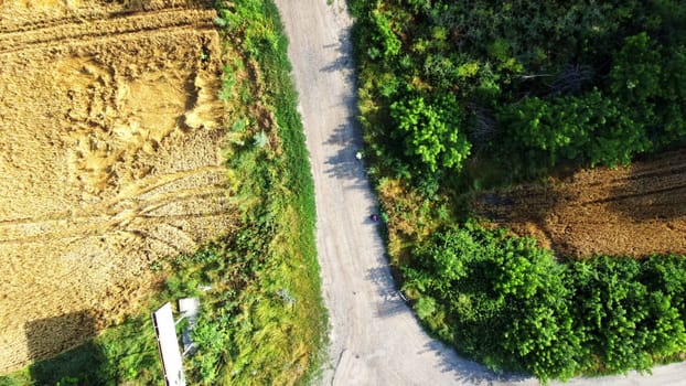 Aerial drone view flight over asphalt road intersection between yellow-green agricultural wheat fields on sunny summer day. Cars driving along the road. Lifting up. Rural landscape and scenery country