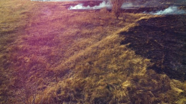 Aerial View Burning Dry Grass. Open Flames of Fire and Smoke. Yellow Dry Grass and Black Ash Burnt Plants. Ecological Catastrophy, Environmental, Natural disaster, Global Warming, Changing of Climate