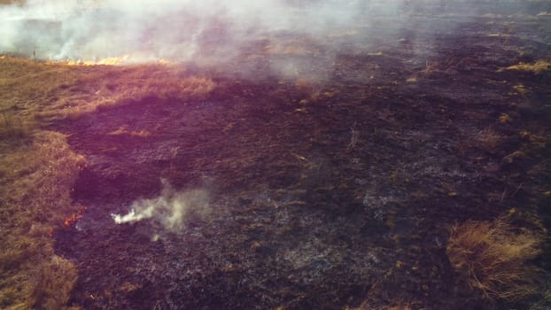 Aerial View Burning Dry Grass. Open Flames of Fire and Smoke. Yellow Dry Grass and Black Ash Burnt Plants. Ecological Catastrophy, Environmental, Natural disaster, Global Warming, Changing of Climate