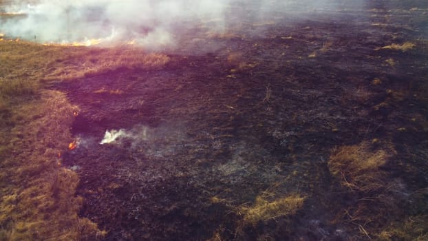 Aerial Drone View Over Burning Dry Grass and Smoke in Field. Flame and Open Fire. Top View Black Ash from Scorched Grass, Rising White Smoke and Yellow Dried Grass. Ecological Catastrophy, Environment