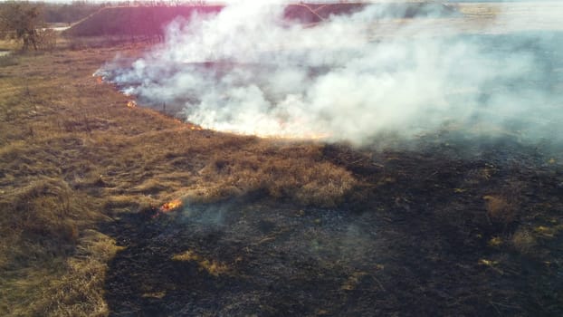 Aerial Drone View Over Burning Dry Grass and Smoke in Field. Flame and Open Fire. Top View Black Ash from Scorched Grass, Rising White Smoke and Yellow Dried Grass. Ecological Catastrophy, Environment