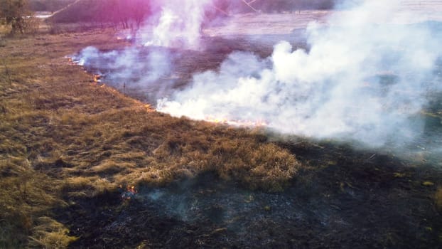 Aerial Drone View Over Burning Dry Grass and Smoke in Field. Flame and Open Fire. Top View Black Ash from Scorched Grass, Rising White Smoke and Yellow Dried Grass. Ecological Catastrophy, Environment