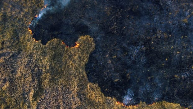 Aerial Drone View Over Burning Dry Grass and Smoke in Field. Flame and Open Fire. Top View Black Ash from Scorched Grass, Rising White Smoke and Yellow Dried Grass. Ecological Catastrophy, Environment