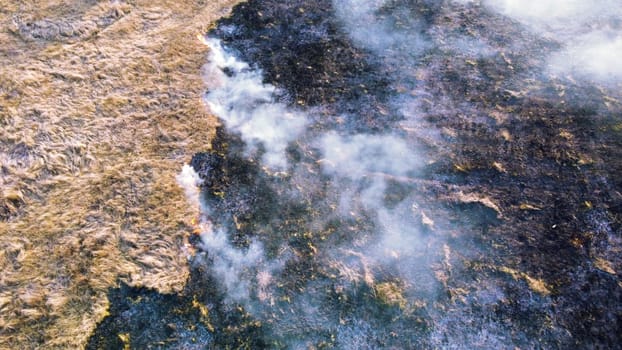 Aerial View Burning Dry Grass. Open Flames of Fire and Smoke. Yellow Dry Grass and Black Ash Burnt Plants. Ecological Catastrophy, Environmental, Natural disaster, Global Warming, Changing of Climate