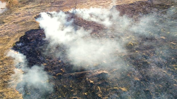 Aerial View Burning Dry Grass. Open Flames of Fire and Smoke. Yellow Dry Grass and Black Ash Burnt Plants. Ecological Catastrophy, Environmental, Natural disaster, Global Warming, Changing of Climate