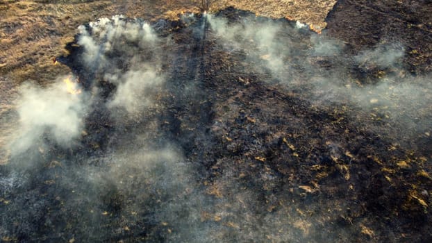 Aerial Drone View Over Burning Dry Grass and Smoke in Field. Flame and Open Fire. Top View Black Ash from Scorched Grass, Rising White Smoke and Yellow Dried Grass. Ecological Catastrophy, Environment