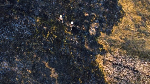 Two firefighters walk on black scorched earth after fire and burning dry grass in field. Two people in uniforms of firefighters walk on black earth and ash after extinguishing fire. Aerial drone view