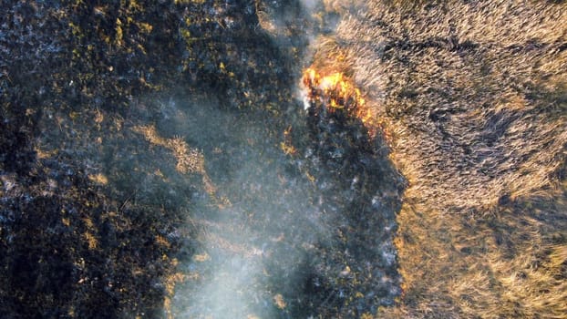 Aerial Drone View Over Burning Dry Grass and Smoke in Field. Flame and Open Fire. Top View Black Ash from Scorched Grass, Rising White Smoke and Yellow Dried Grass. Ecological Catastrophy, Environment