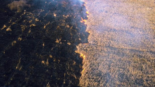 Aerial Drone View Flight Over two firefighters putting out fire in field with dry grass. Firefighter being in smoke extinguish flame. Environmental protection, global warming, changing of climate,